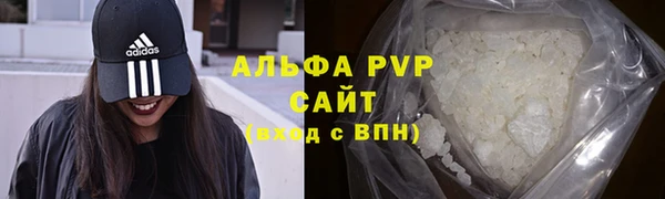 индика Верхний Тагил