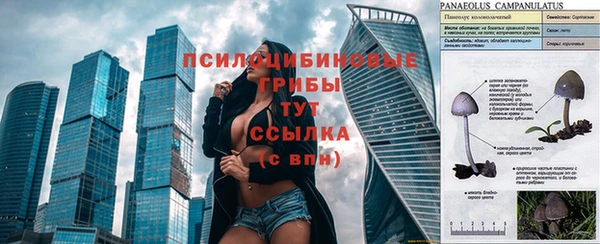 спайс Верея