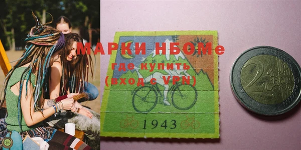 индика Верхний Тагил