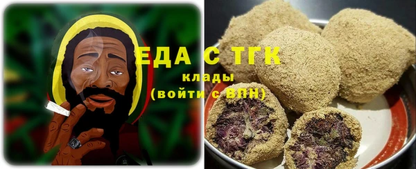 индика Верхний Тагил