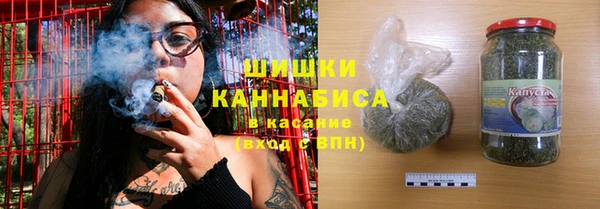 индика Верхний Тагил