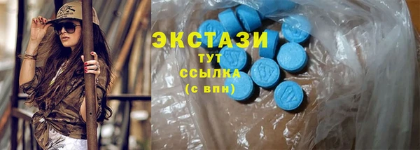 индика Новосибирск
